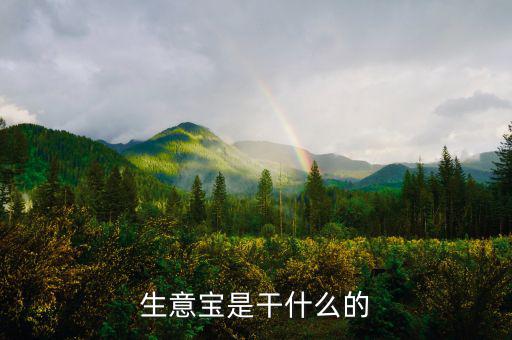 生意寶屬于什么版塊，生意寶聽說過嗎聽說能快速賺錢是真的假的