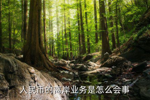 為什么會有離岸人民幣，人民幣的離岸業(yè)務(wù)是怎么會事