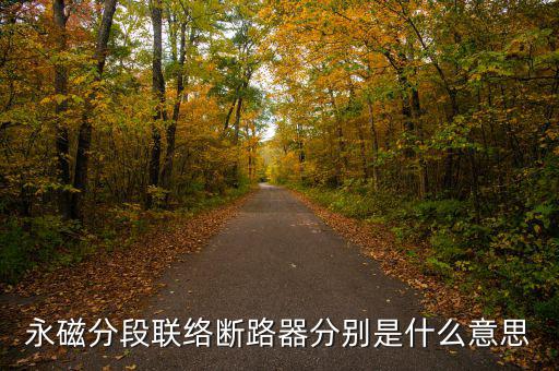 什么是永磁開關(guān)，什么是永磁