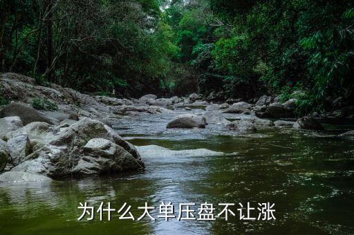 大單壓盤(pán)不讓漲是什么意思，為什么在巨單壓盤(pán)為什么不讓漲
