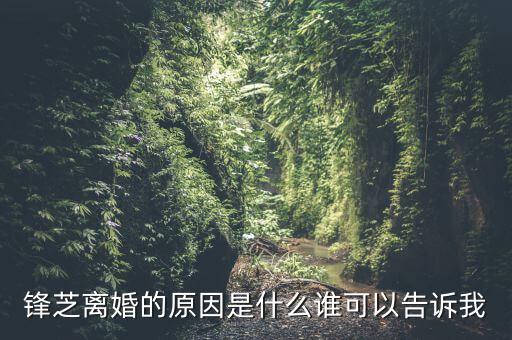 胡芝容為什么離婚，鋒芝戀離婚原因是為什么