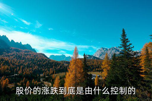 是什么控制了中國股市，是什么在操縱股市的大盤