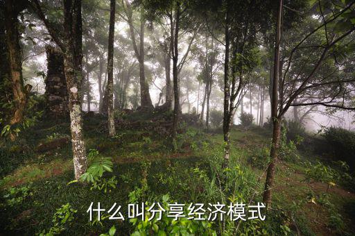 什么是分享經(jīng)濟(jì)，通俗講什么是分享經(jīng)濟(jì)