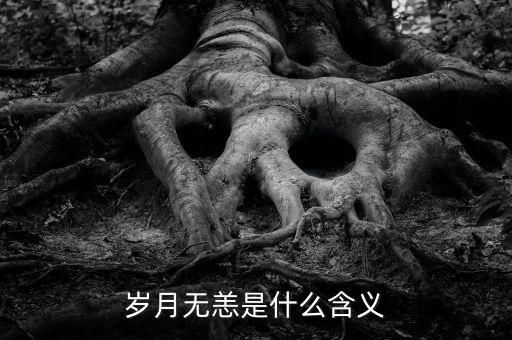 aapl是什么意思，PRQ是什么意思