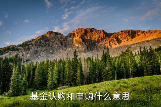 基金認(rèn)申購什么意思，基金中的認(rèn)購是什么意思