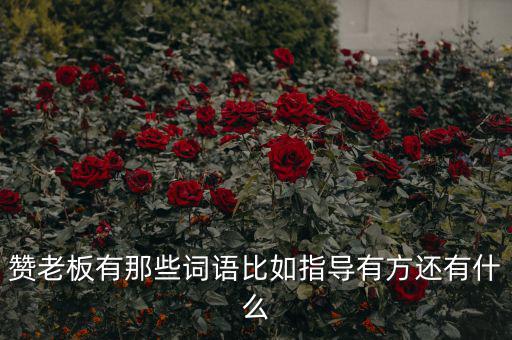 什么成語能夠形容房地產(chǎn)老板，贊老板有那些詞語比如指導有方還有什么