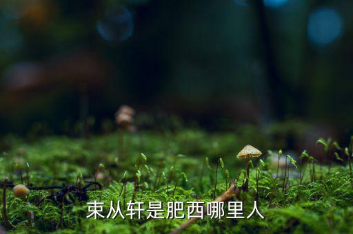 朱從玖肥西什么地方人，kimson肥西是哪里人