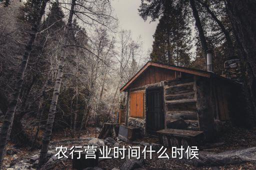 農(nóng)行什么時(shí)候上班，農(nóng)行上班時(shí)間