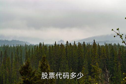 b股代碼以什么開頭，a股和b股代碼怎樣區(qū)分