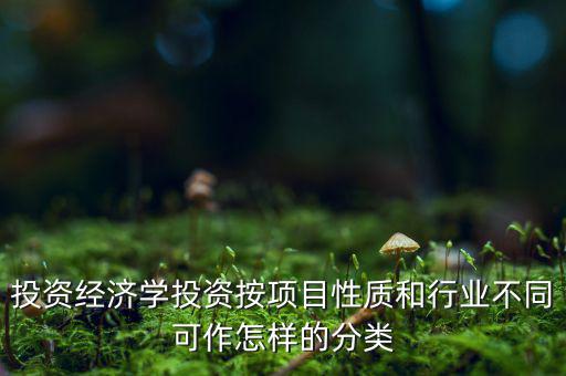 什么是公共消費性投資，如何理解消費投資