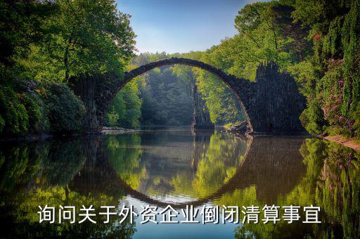 沈陽投資公司跑路市政府什么解決，詢問關(guān)于外資企業(yè)倒閉清算事宜