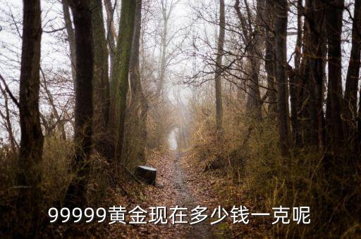 黃金現(xiàn)在什么價(jià)格一克，黃金現(xiàn)在多少錢一克
