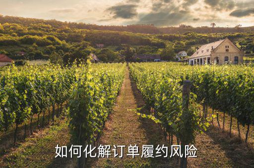 什么訂單執(zhí)行風(fēng)險，淘寶訂單險的問題