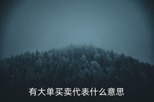 在買(mǎi)5成交有大單是什么意思，股票中大單是什么意思