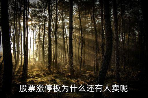 為什么已經(jīng)漲停的股票那么多人買，當(dāng)天漲停的股票為什么還有那么多人買入跟進呢