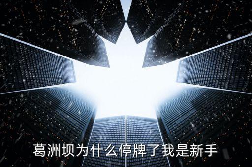 葛洲壩為什么停牌，葛洲壩為什么8月21日停牌