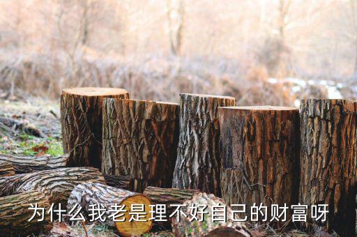 財(cái)富為什么不好說(shuō)說(shuō)理由，我?guī)蛣e人回答問(wèn)題為什么說(shuō)財(cái)富不足