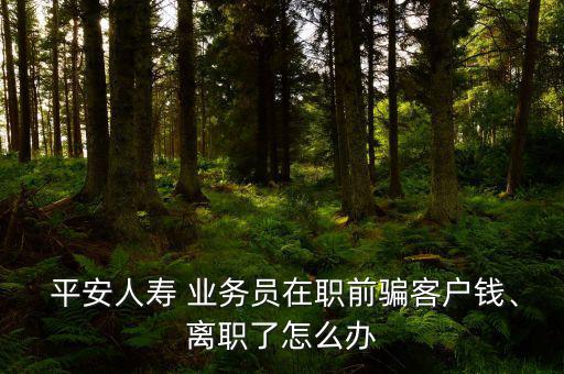  平安人壽 業(yè)務(wù)員在職前騙客戶錢、離職了怎么辦