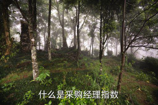 什么是采購(gòu)經(jīng)理指數(shù)