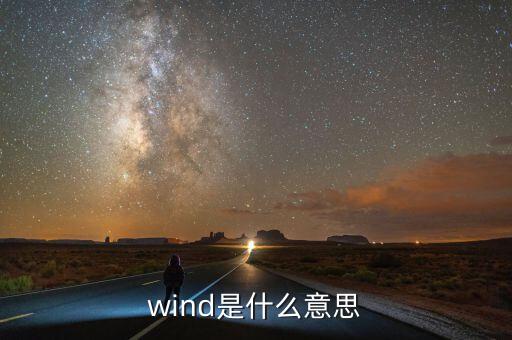 wind數(shù)據(jù)是什么，wind是什么意思