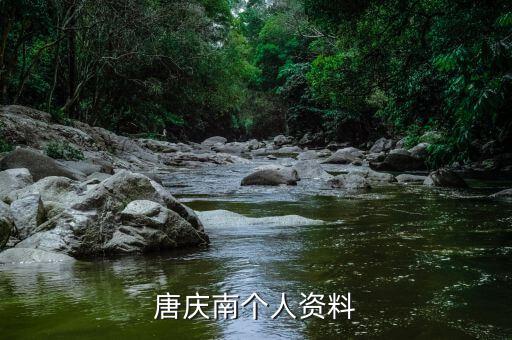 唐慶南為什么被逮捕，唐慶南被判刑