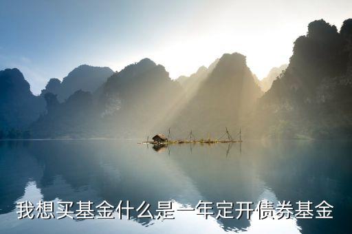 定開債券是什么意思，我想買基金什么是一年定開債券基金