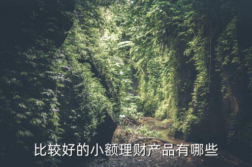 有什么小額理財產(chǎn)品，小額理財投資產(chǎn)品有哪些