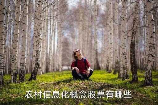 農(nóng)村富了什么股票，農(nóng)村信息化概念股票有哪些