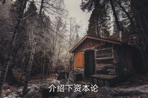 資本論是什么發(fā)表的，資本論 是馬克思寫的不