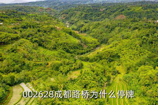 成都路橋今天什么情況，今天早成都等路橋的航班有沒(méi)有停航