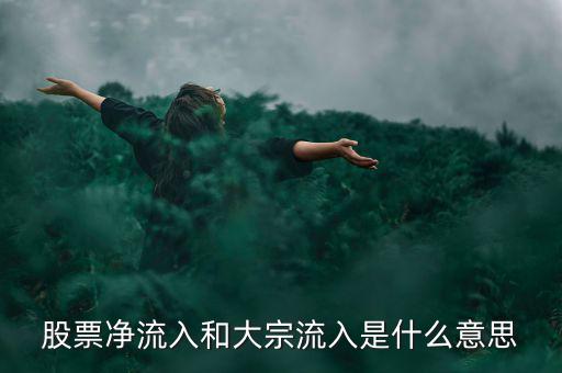 股票大宗流入是什么意思，股票凈流入額大宗流入什么意思