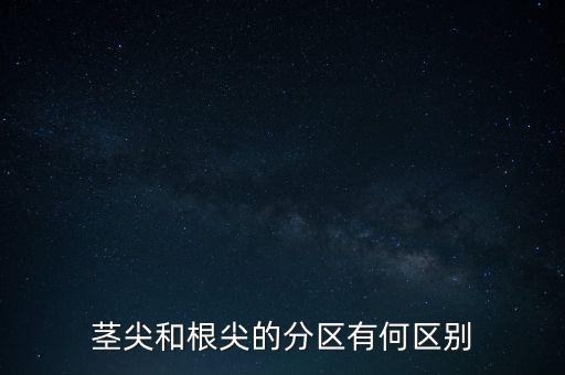外高橋分區(qū)指按部屬于什么級別，上海市外高橋保稅區(qū)是屬于什么區(qū)