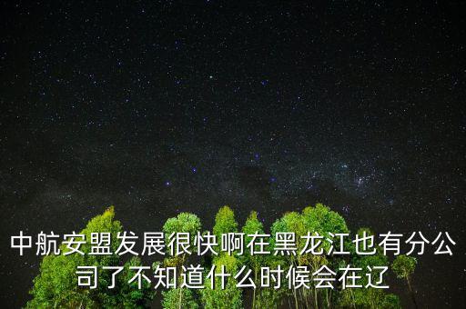 中航安盟發(fā)展很快啊在黑龍江也有分公司了不知道什么時(shí)候會在遼