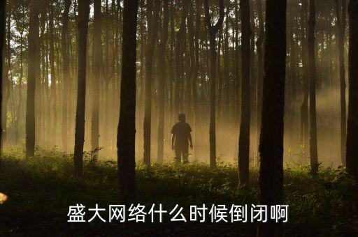 美國(guó)盛大游戲什么時(shí)間退市，盛大倒閉確切日期