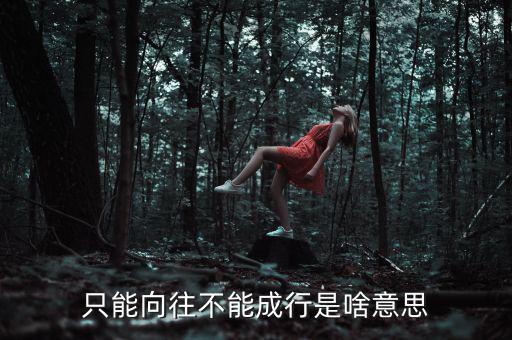 未能成行是什么意思，只能向往不能成行是啥意思
