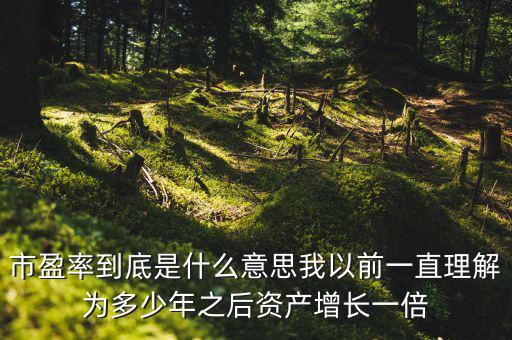 市盈率到底是什么意思我以前一直理解為多少年之后資產增長一倍