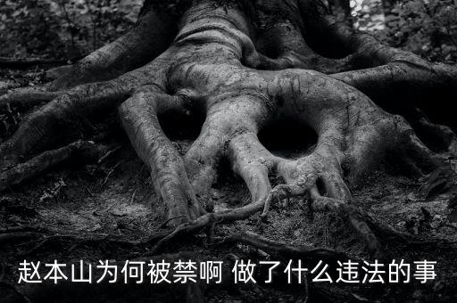 趙本山作品為什么禁播，趙本山的小品怎么也不讓播了