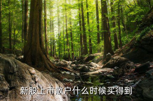 散戶什么時(shí)候才能買到新股，新股上市散戶什么時(shí)候買得到