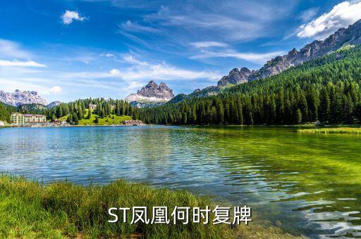 st鳳凰什么時(shí)候復(fù)牌，長航鳳凰2013年七月一日怎么停牌了啊