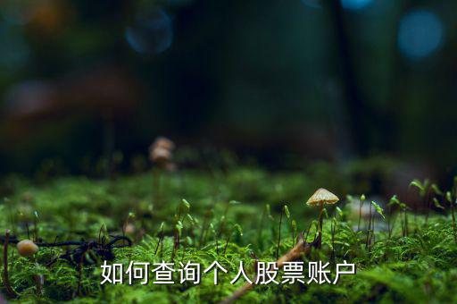 怎么看股票什么戶，怎樣查詢自己的股票賬戶在什么地方開(kāi)的戶