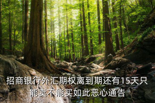 為什么不能購買招商銀行期權，招商銀行外匯期權怎么了獲利200點還賠錢