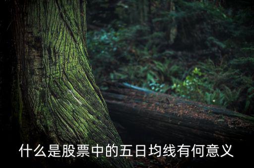 5日均線有什么用，什么是股票中的五日均線有何意義