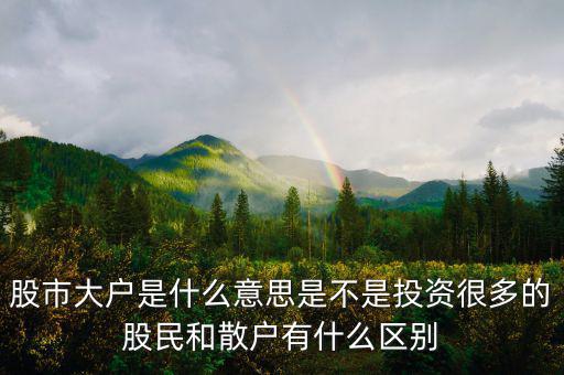 炒股大戶是什么意思，股票中的大戶是什么意思