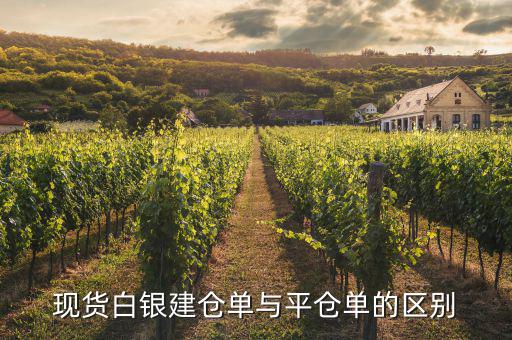 建倉(cāng)單和平倉(cāng)單是什么意思，建倉(cāng)單和平倉(cāng)單的意思