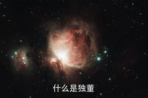 為什么董建華獨董，我國上市公司的獨立董事的來源主要有哪些