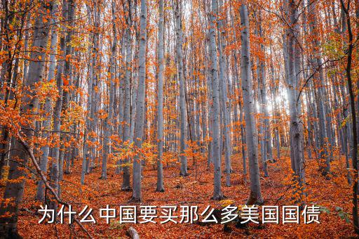 為什么要買美國國債，為什么要買那么多美國國債
