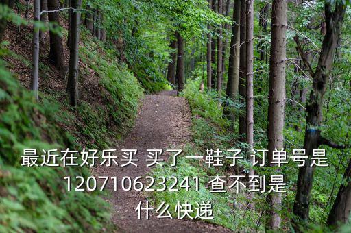 好樂(lè)買發(fā)什么快遞，我在好樂(lè)買用網(wǎng)銀付款買了雙鞋子請(qǐng)問(wèn)他們都用什么快遞發(fā)貨