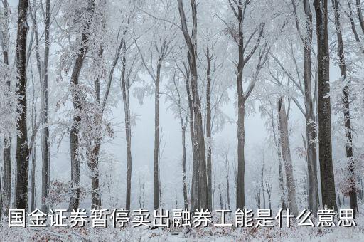 暫停融券是什么意思，國金證券暫停賣出融券工能是什么意思