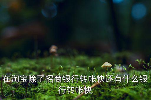 什么銀行網(wǎng)上轉(zhuǎn)賬最慢，在淘寶除了招商銀行轉(zhuǎn)帳快還有什么銀行轉(zhuǎn)帳快