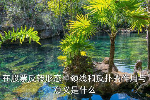 股票反撲是什么意思，在股票反轉(zhuǎn)形態(tài)中頸線和反撲的作用與意義是什么
